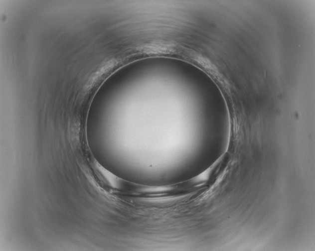 X0000070880201200606191324