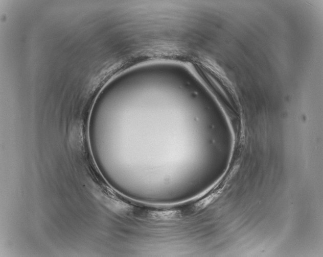 X0000070880202200606191323