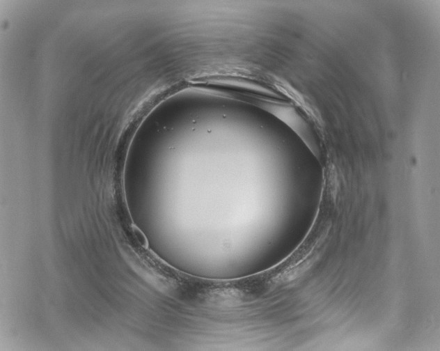 X0000070880203200606191323