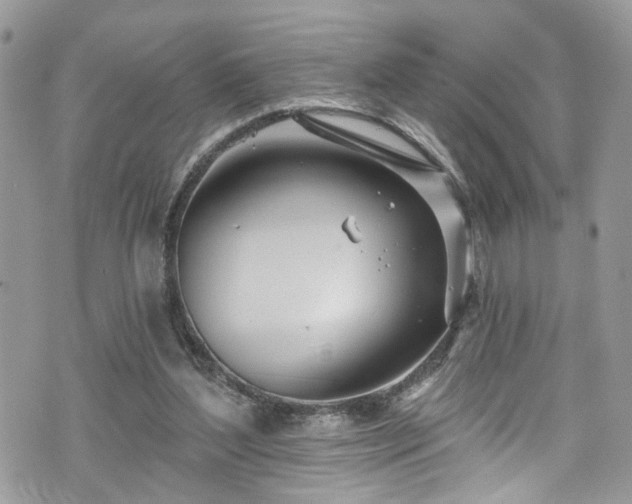 X0000070880204200606191323