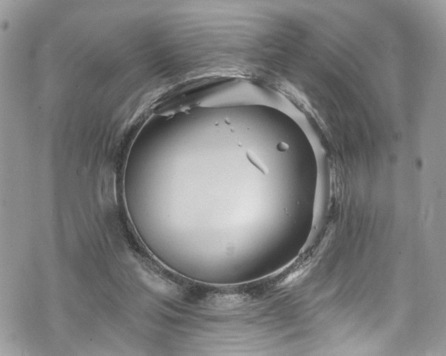 X0000070880205200606191323