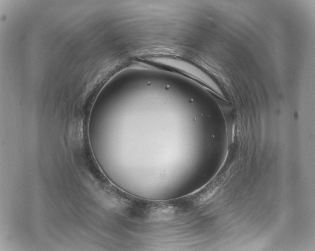 X0000070880206200606191323