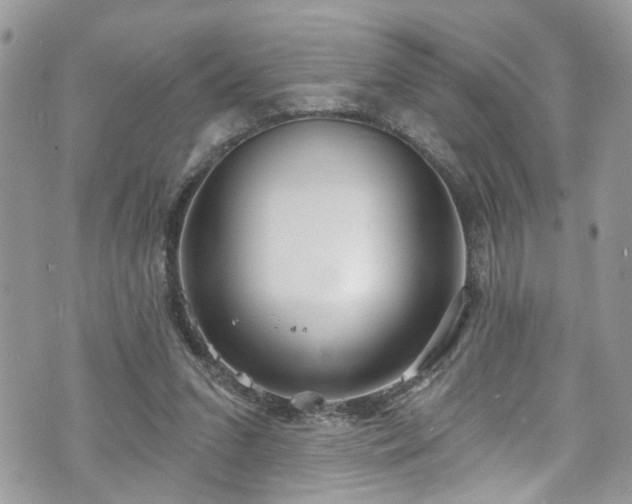 X0000070880207200606191323