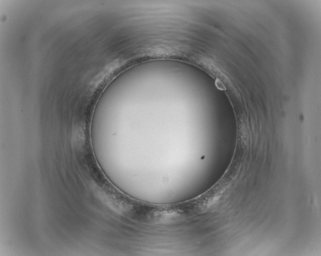 X0000070880208200606191323