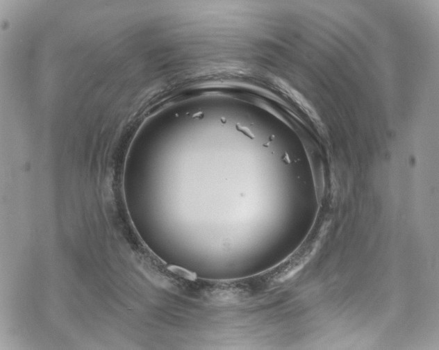 X0000070880209200606191323