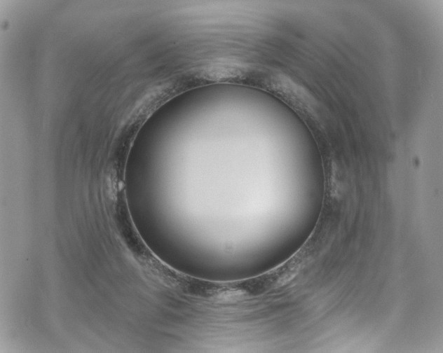 X0000070880210200606191323