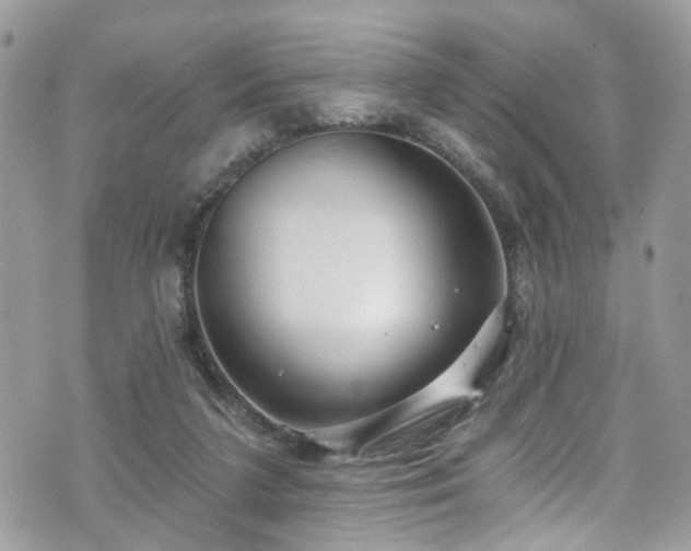 X0000070880211200606191323