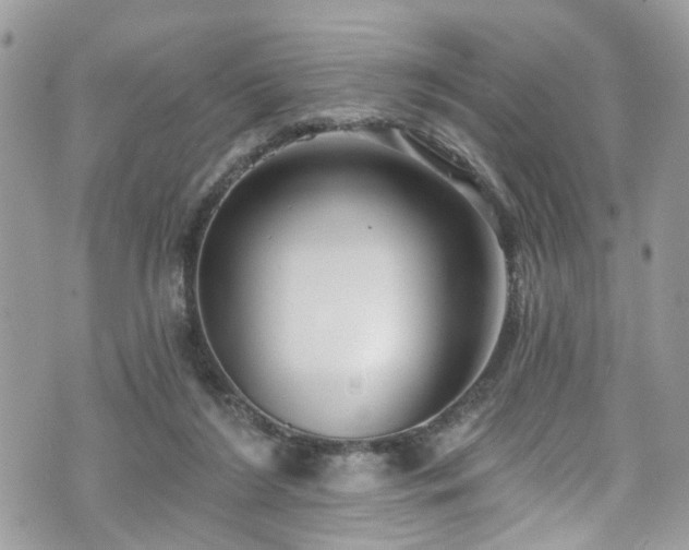 X0000070880212200606191323