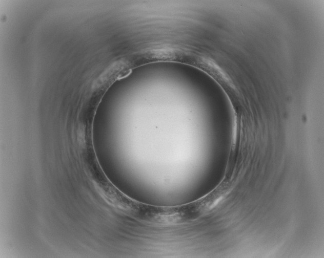 X0000070880213200606191323