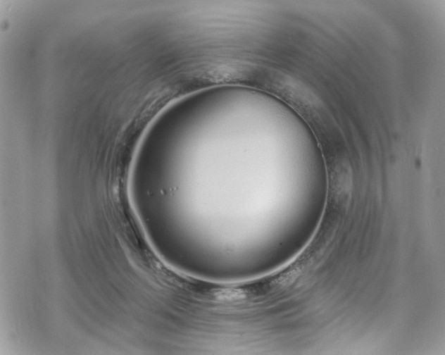 X0000070880214200606191323