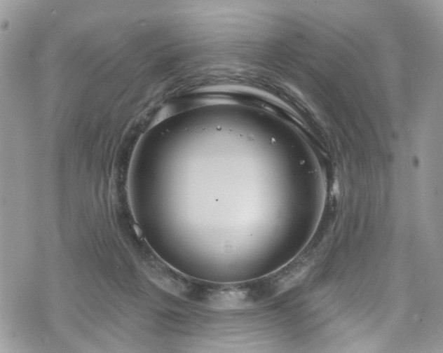 X0000070880217200606191323