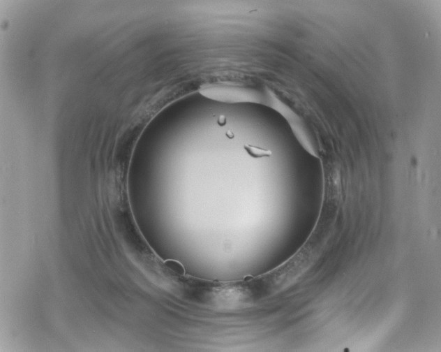 X0000070880218200606191323