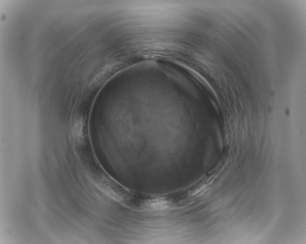 X0000070880219200606191323