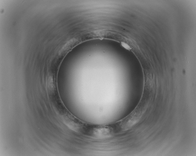 X0000070880220200606191323