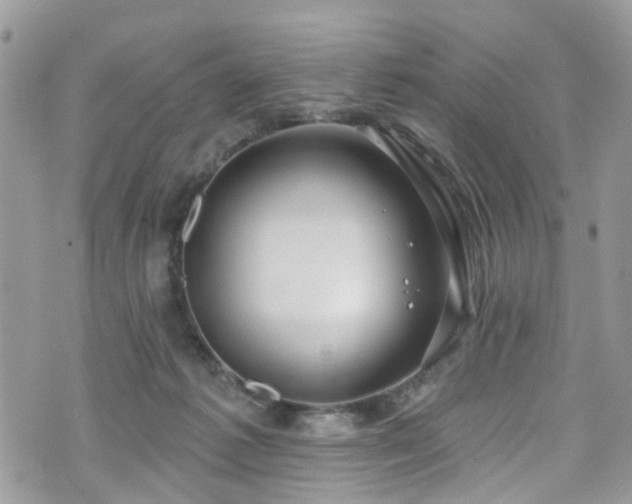 X0000070880221200606191323