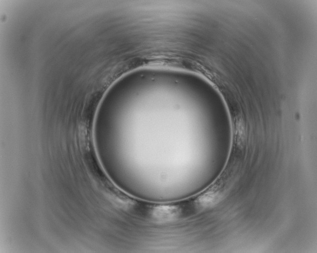 X0000070880222200606191323