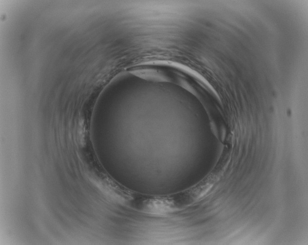 X0000070880223200606191323