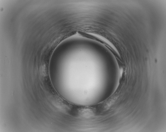 X0000070880224200606191323