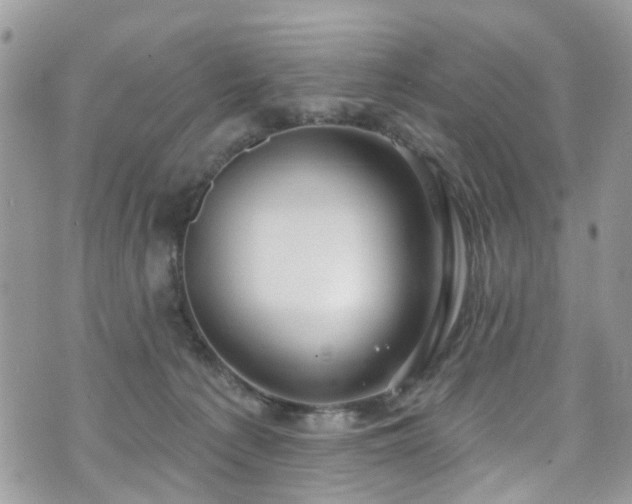 X0000070880225200606191323