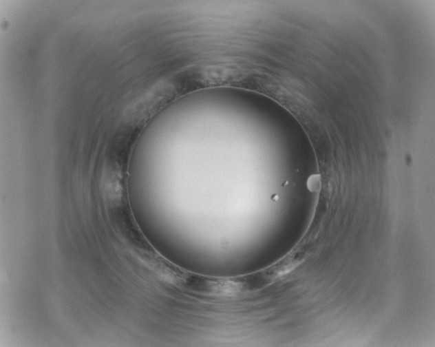 X0000070880226200606191323