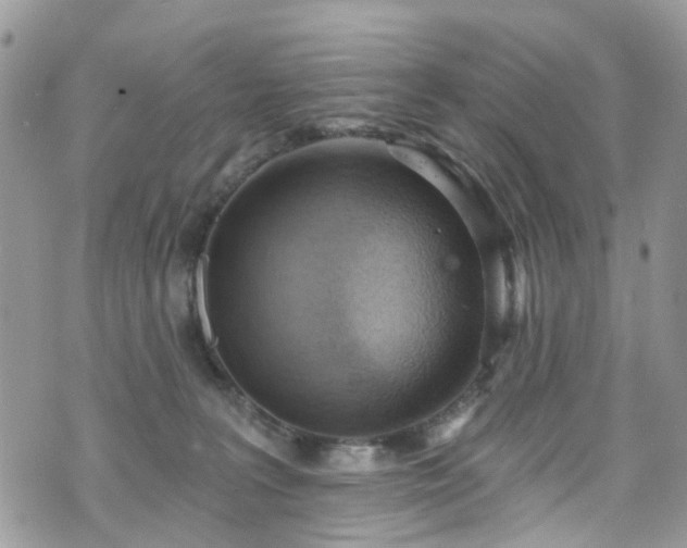 X0000070880227200606191323