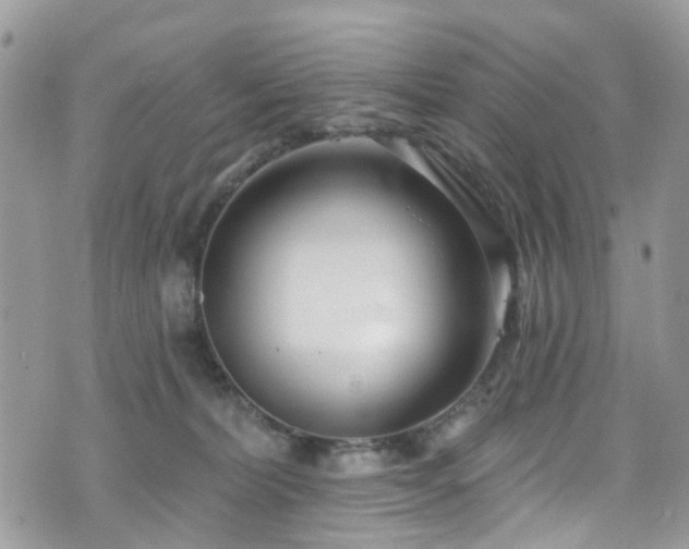 X0000070880228200606191323