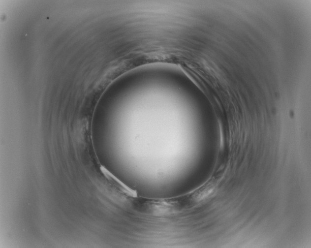 X0000070880229200606191323