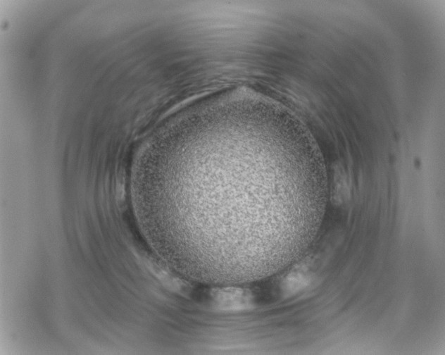 X0000070880230200606191323