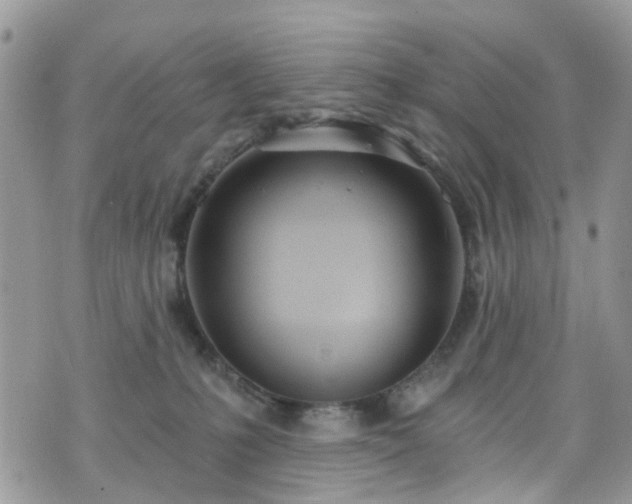 X0000070880231200606191323