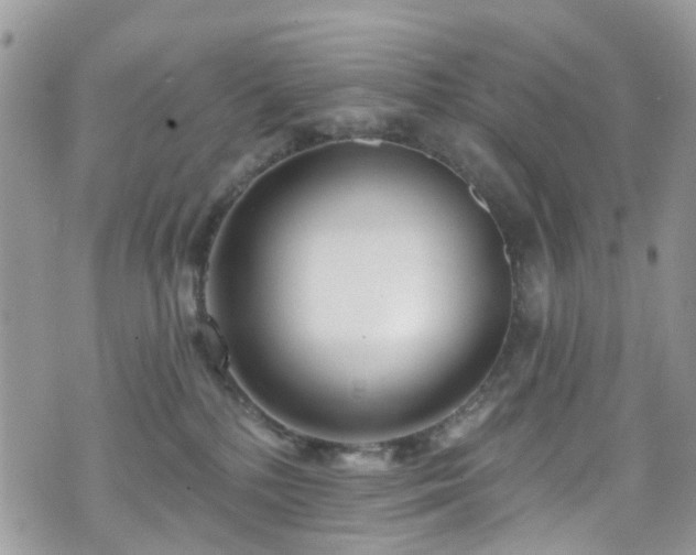 X0000070880232200606191323