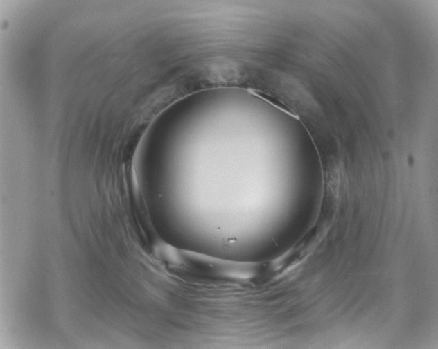 X0000070880233200606191323