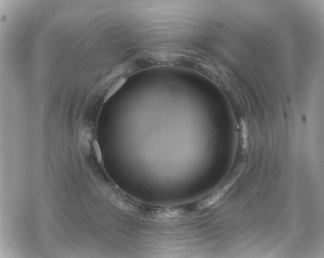 X0000070880235200606191323