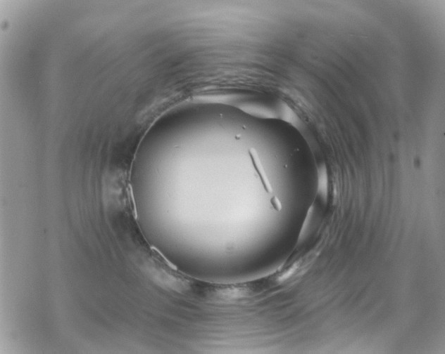 X0000070880237200606191323