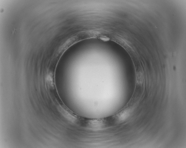 X0000070880238200606191323