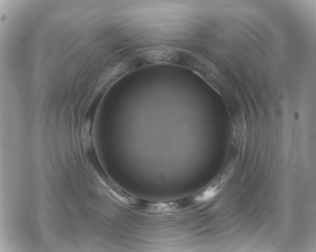 X0000070880239200606191323