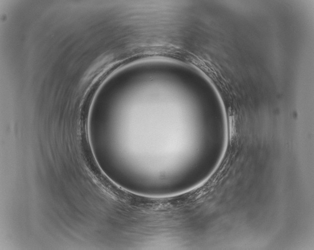 X0000070880243200606191322