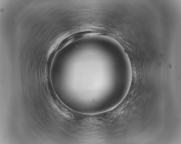 X0000070880244200606191322