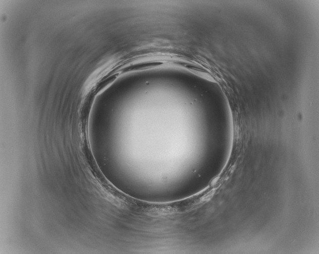 X0000070880245200606191322