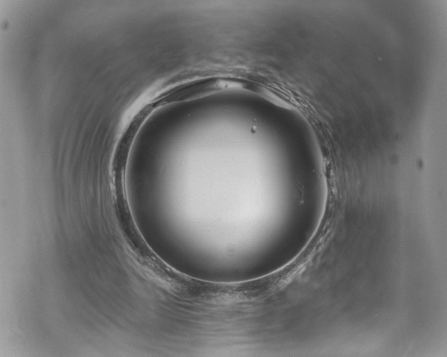 X0000070880246200606191322