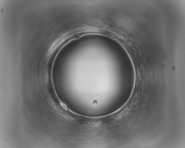 X0000070880247200606191322