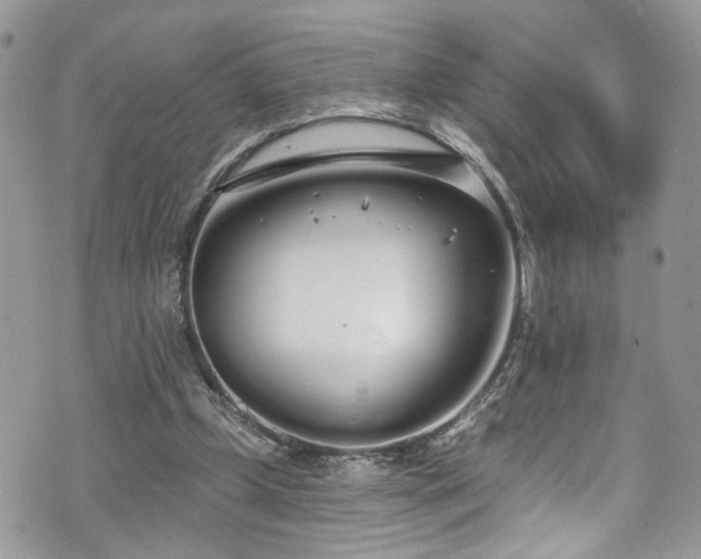 X0000070880249200606191322