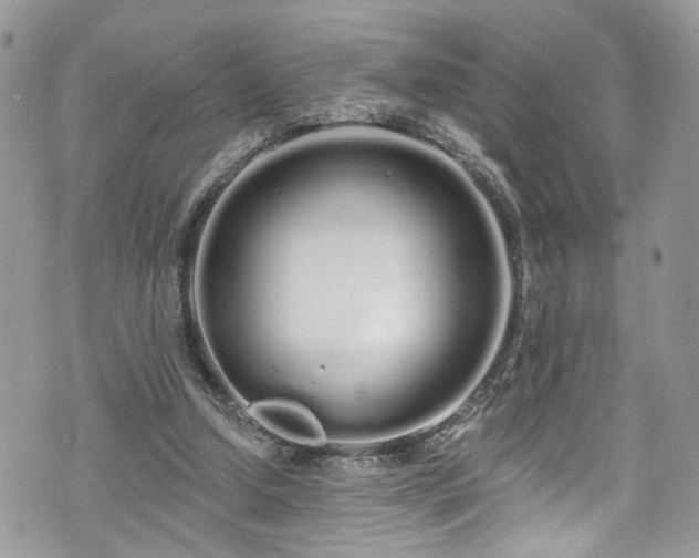 X0000070880250200606191322