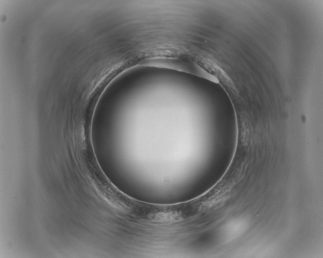 X0000070880251200606191322