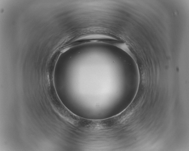 X0000070880254200606191322