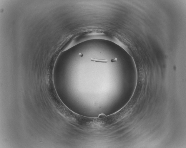 X0000070880255200606191322