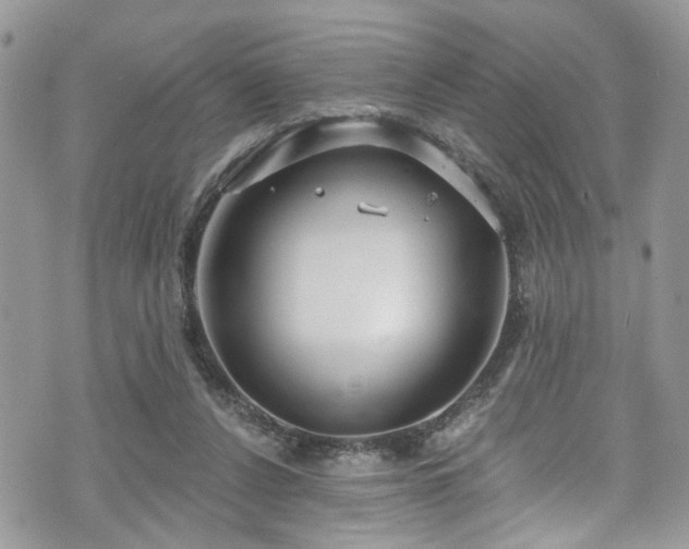 X0000070880256200606191322