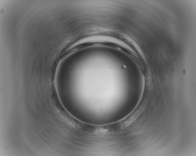 X0000070880257200606191322