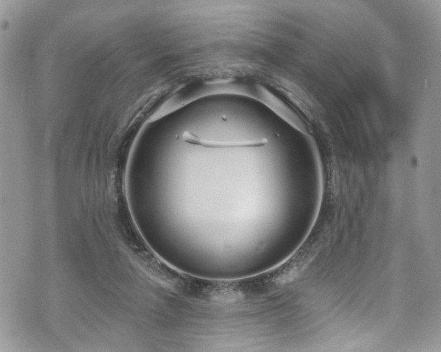 X0000070880258200606191322