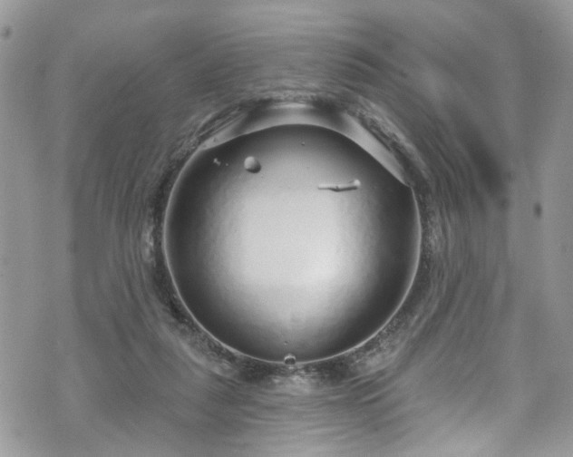 X0000070880259200606191322