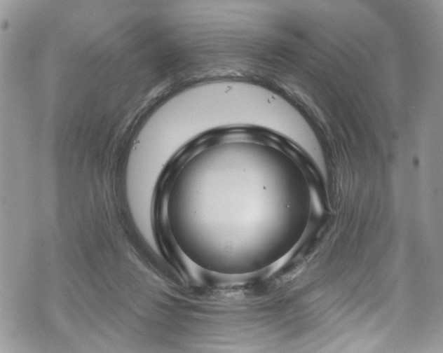 X0000070880260200606191322